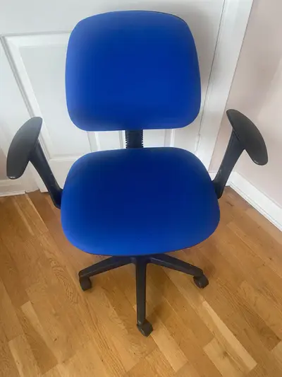 Blue Ergonomics Office Chair